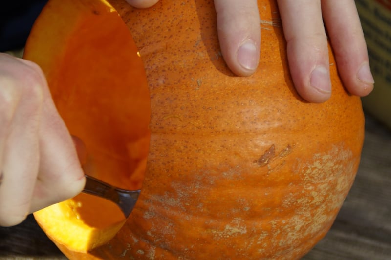 Halloween DIYs