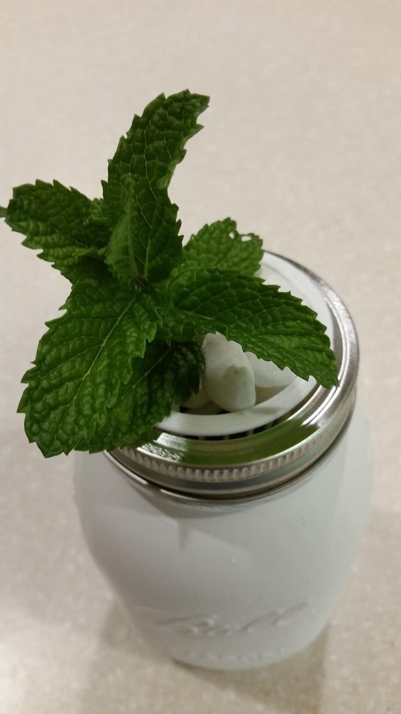Mason Jar Vases